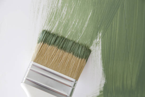 Professional Mold Removal in Radium Springs, NM