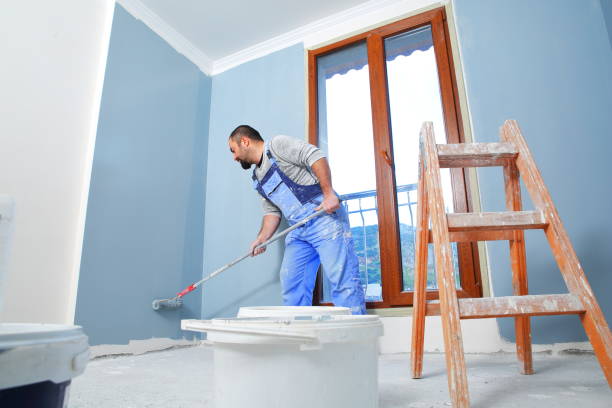Best Black Mold Removal  in Radium Springs, NM