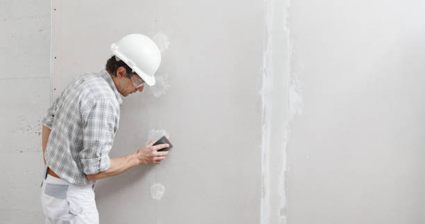 Best Residential Mold Inspection & Testing  in Radium Springs, NM