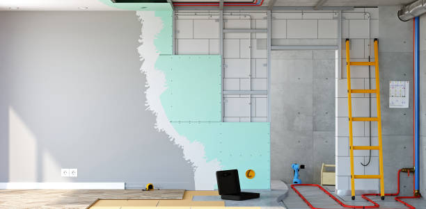 Best Industrial Mold Remediation  in Radium Springs, NM