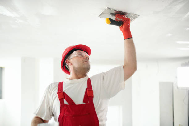 Best Real Estate Mold Inspection  in Radium Springs, NM