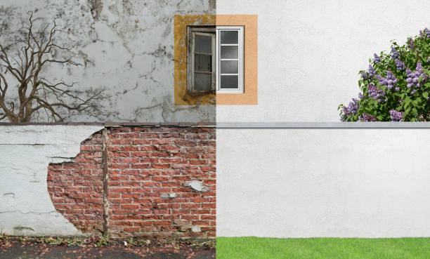 Best Mold Odor Removal Services  in Radium Springs, NM