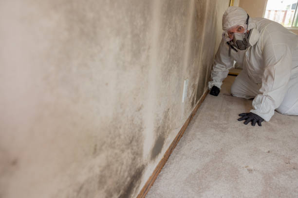Best Industrial Mold Remediation  in Radium Springs, NM