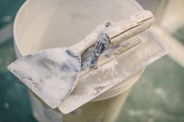 Best Mold Prevention Services  in Radium Springs, NM
